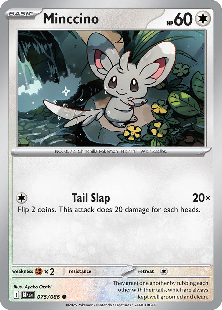 Minccino - 075/086 - Black Bolt
