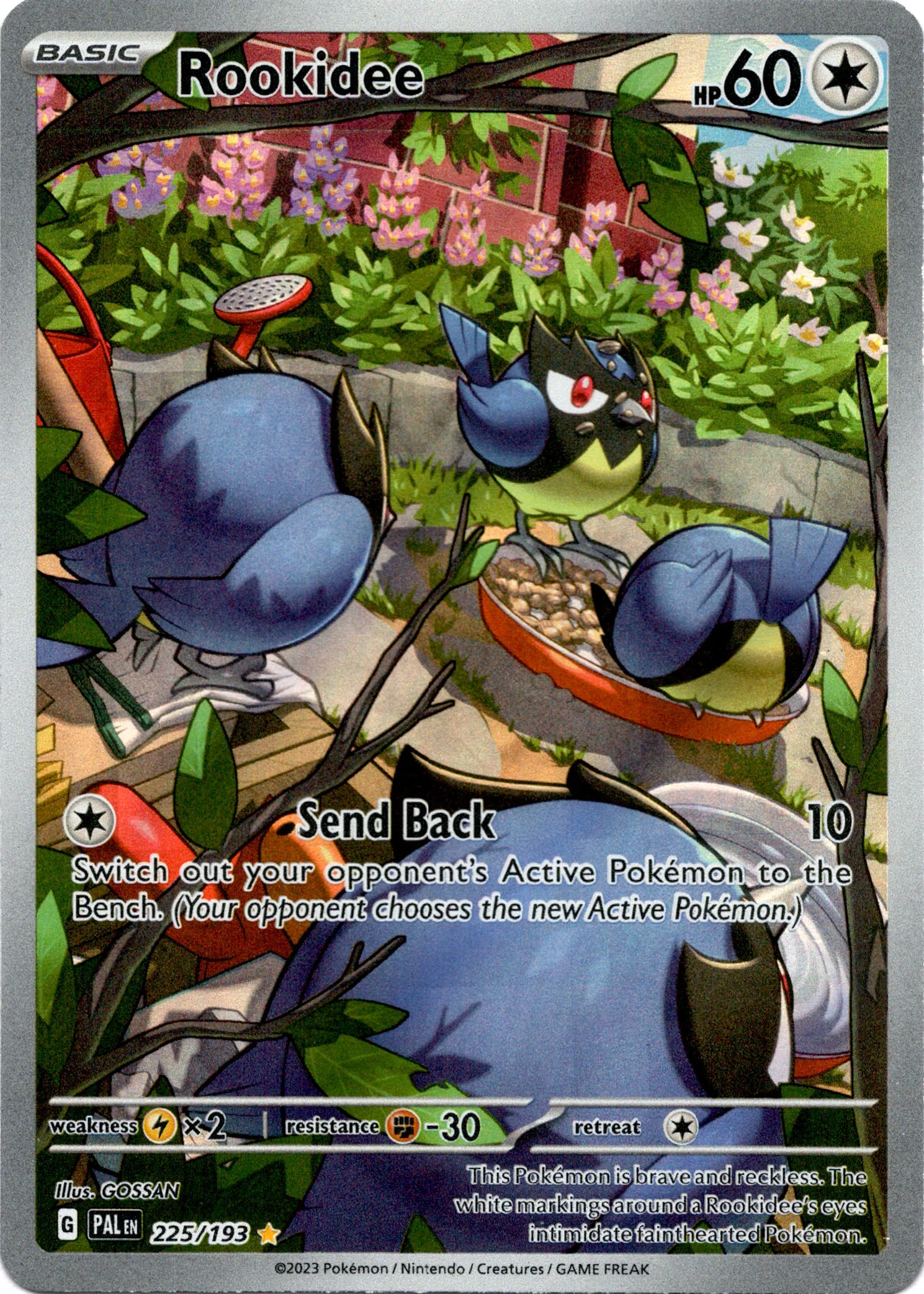 Rookidee - 225/193 - Paldea Evolved - Holo